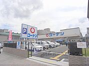 コーナン　かどの四条外大前店まで300メートル