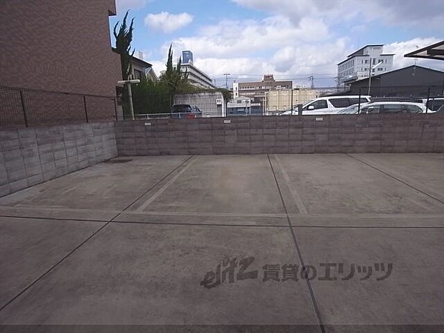 19 / 29