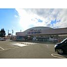 ホームセンター「ケーヨーデイツー北長野通店まで3405ｍ」