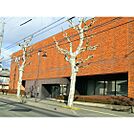 銀行「長野信用金庫本店まで611ｍ」