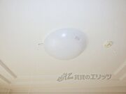 照明