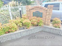 3 / 4