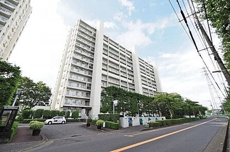志木ニュータウン中央の森弐番街