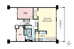 レクセルヒルズ朝霞 1LDKの間取図画像