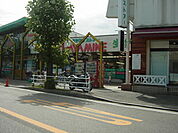 その他「早峰ストアー鴨宮店まで1160m」