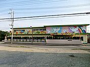 幼稚園、保育園「船橋小鳩幼稚園まで828m」