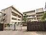 周辺：小学校「松戸市立大橋小学校まで380m」