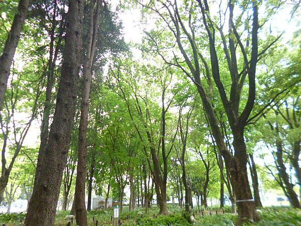 愛知県名古屋市中区金山１丁目(賃貸マンション1K・6階・40.05㎡)の写真 その11