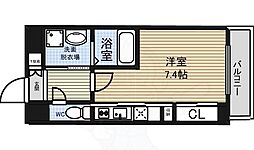 トレフルコート