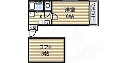 ソフィア 1階/-