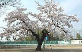 プロバンス　ビラ  ｜ 埼玉県川口市大字西新井宿（賃貸アパート1K・2階・36.41㎡） その18