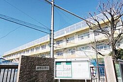 プレクシアガーデン