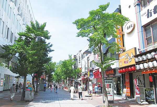 ベルシード横濱大通り公園 ｜神奈川県横浜市南区真金町２丁目(賃貸マンション1K・9階・26.45㎡)の写真 その29