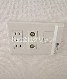 ピノエスペランサ　915127