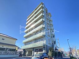 ドルチェ・オオギ