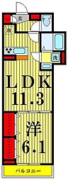 セレスティア西保木間 1LDKの間取図画像