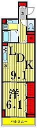 セレスティア西保木間 1LDKの間取図画像