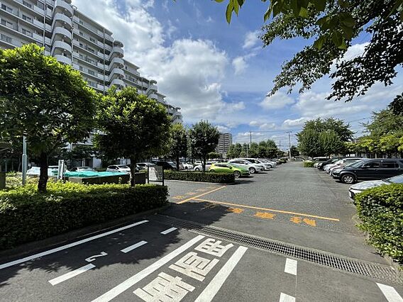 車の出し入れが...