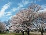 周辺：【公園】加須はなさき公園まで940ｍ