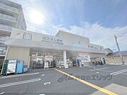 ダックス　下京西七条店まで550メートル