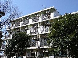 スカイコート向島第2