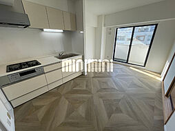 レピドール福田I