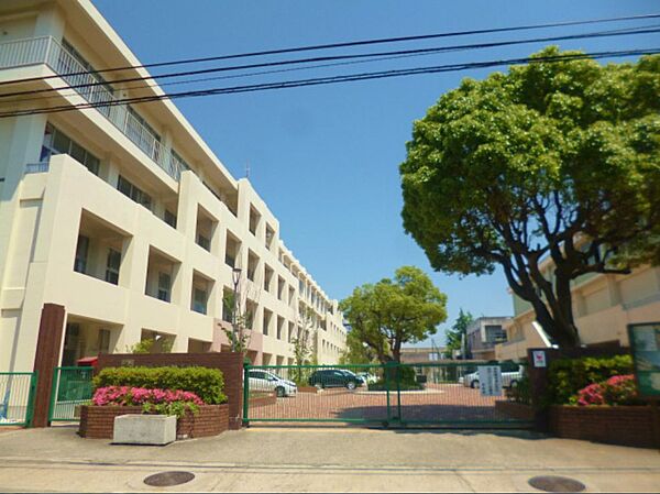 画像20:【高校】兵庫県立鳴尾高校まで615ｍ