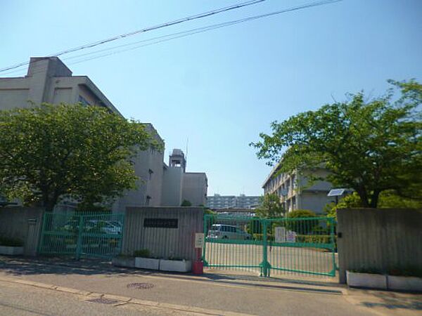 ルベラージュ甲子園 ｜兵庫県西宮市南甲子園2丁目(賃貸マンション1R・2階・19.70㎡)の写真 その29