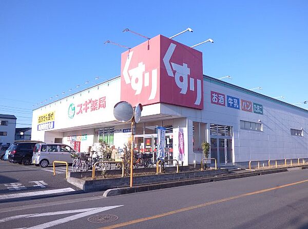 画像18:スギドラッグ 川口元郷店（602m）