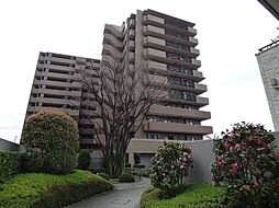 コスモ川口アクアフロント