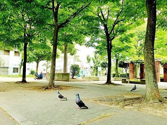 ■苅田南公園■...