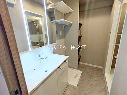 大きな三面鏡付きの洗面台です。たっぷりの収納を設けたシャワー付です
