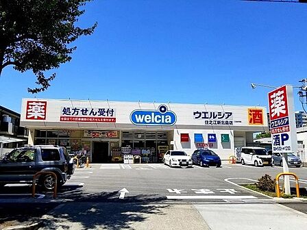 ■ウエルシア住之江新北島店■ウエルシア住之江新北島店 710m