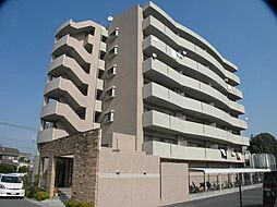 グリーンフォレスト