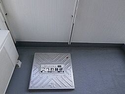 ヴェルト川口並木