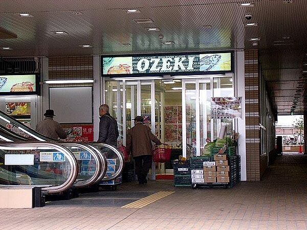 画像28:【スーパー】スーパーオオゼキ市川店まで621ｍ