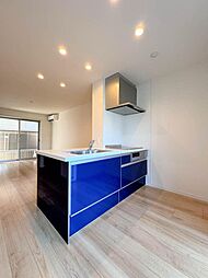 ドリーミオ 1階1LDKの室内