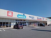 ウエルシア韮崎富士見店1007m