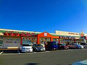 ドラッグ新生堂 宗像店（448m）