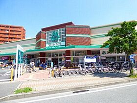 サリナス高宮壱番館 506 ｜ 福岡県福岡市南区高宮２丁目（賃貸マンション1R・5階・24.65㎡） その20