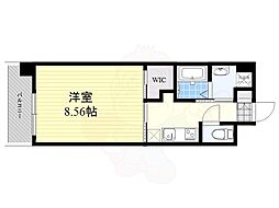 クラッシー博多 10階/-