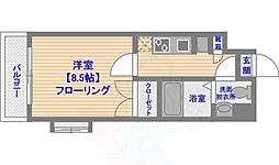 ピュアドームエクザ薬院 6階/-