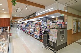 栃木県宇都宮市南大通り4丁目（賃貸アパート1LDK・2階・43.53㎡） その27