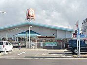 コメリハード＆グリーン宇都宮山本店 1396m