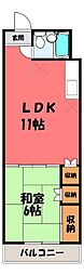 JR東北本線 雀宮駅 徒歩6分 1階/-