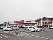 イオンショッピングセンター(700m)