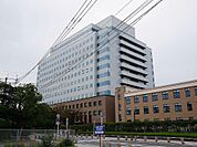 佐賀県庁(411m)