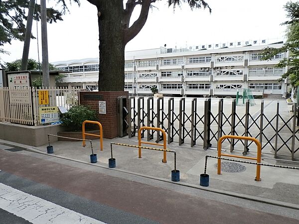 画像30:【小学校】武蔵野市立 第五小学校まで546ｍ
