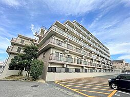 ピュア・ドミトリーシミズ