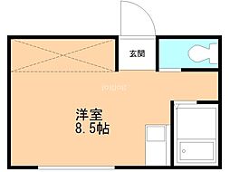 カレージア9 1階/-